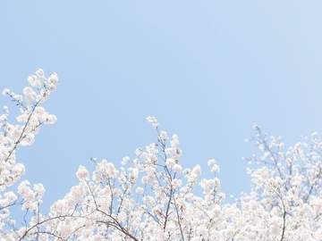 [아지랑이] 松田 りりか☁️