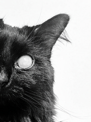 공사 현장입니다.