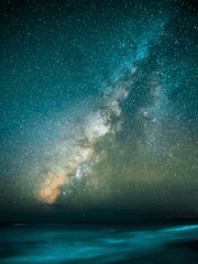 포켓몬스터 빅토리