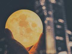 달토끼가 쏘아 올린 작은 우주선