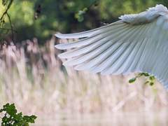 당신은 나의 한줄기 빛이 되어