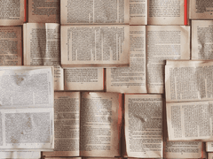 Raymond Lacey :: 레이먼드 레이시