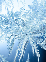 [동토의 마법사]