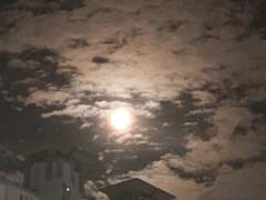 [승준명석] 뱀파이어