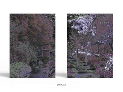 252. 그림자 괴는 곳