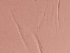 방탄 빙의글 완결 추천 [조직물]