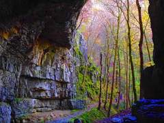 안개꽃이 피어나면 식은땀이 흐른다.