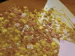 시장 꽃다발 뚱티부와의 망한 연애 1