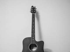 낭만 고양이 리커버리 上