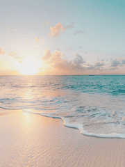 그들의 여름청춘