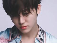 센티넬 클래식 IF +