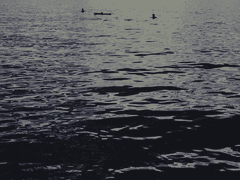 마슈 할로웨이 /해군/22/XX