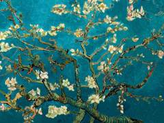 대종남파 길선원군 환향기