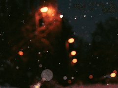 별보다는 너를 기억해