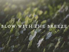 Blow With the Breeze