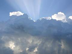 무언가를 미워하기엔 한평생 사랑받고 살아온 사람이라서