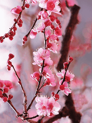 화산귀환 2차창작