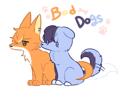 아키토우 위주 백업5