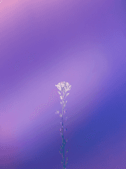 계간린총 제 2회