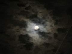 지독한 외로움이 찾아오는 밤