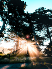 [괴도조커] 쉐도조커