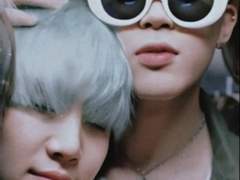 시스투스 알비두스