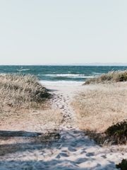 킹아더/망령을 쫓는 목동