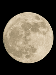 항주월야(杭州月夜)