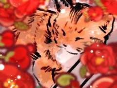 반려동물 인생한컷