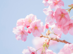 메마르지 않는 우물