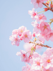 메마르지 않는 우물