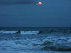 남은우 | 남성 | 3학년