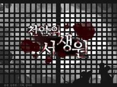 천안의 서생원4