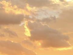 Dear. Dennis M. ratliffe