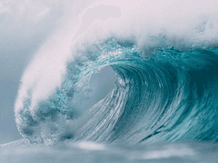 될지 안 될지는 모르겠지만!! 1월 포타 2023 작심삼월!