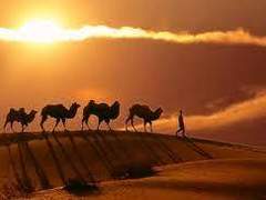 타클라마칸 이야기