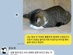 ꕤ주술회전ꕤ 카톡 카피페 (58)