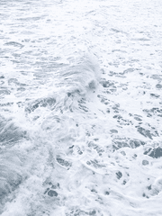 로맨스 사망선고