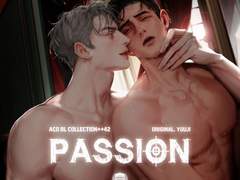 패션 스위트 후기