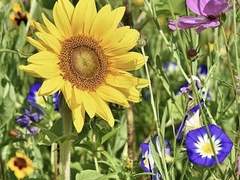 우리 조금 오랜만인가?