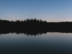 [땅새은우] 가물어가는 꽃_ 轉 (1)