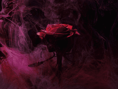 이윽고 꽃이 됩니다.