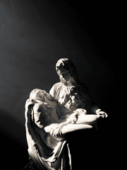 [조걸윤종] 과실