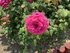 쉿! 내 이야기 들어 볼래?