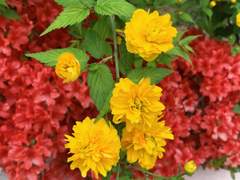 쉿! 내 이야기 들어 볼래?