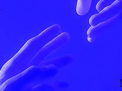 [쿠잔사카] 감정의 이름