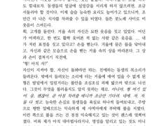 [뿌요뿌요] 거울