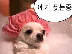 [NCT] 이가네 귀염둥이 막둥이 Face Book