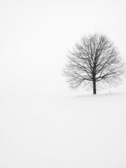 포타 1화 공모전