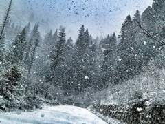 믿음의 세계, 충성의 세계 01